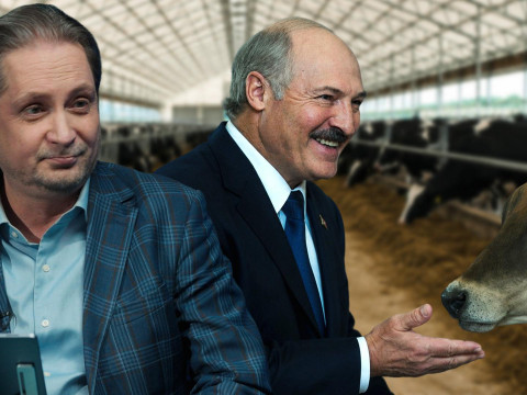 Лукашэнку паказалі, як павінна працаваць сапраўдная малочная ферма