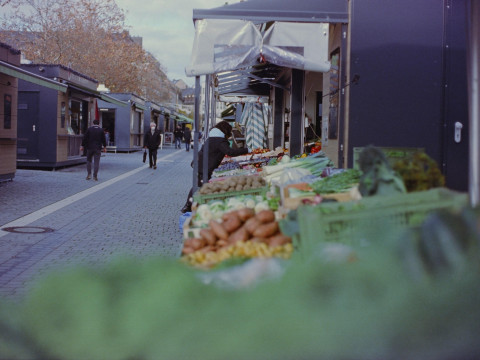 Economist Avdonin predicted the EU’s demise if Russia shuts its market. We looked into how important Russia really is for European exports