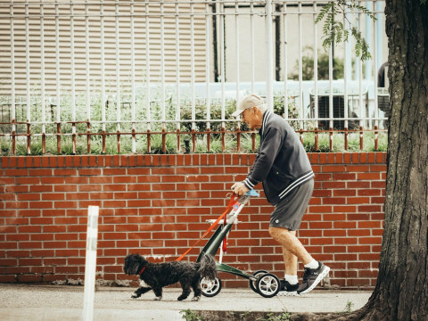 Адбяруць у пенсіянераў? Эксперт звязаў рэформу ў Латвіі з планамі NATO і памыліўся
