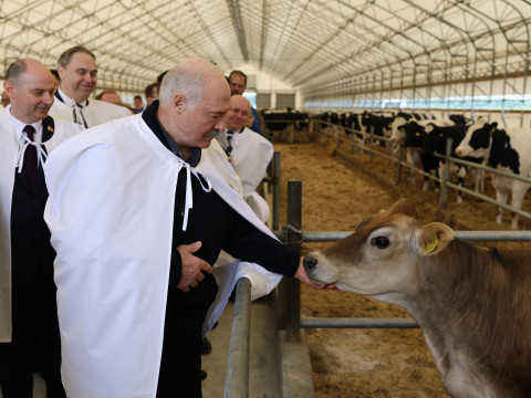 1.8 centners became a 1.8-fold increase: How Belarusian state media inflated farming results